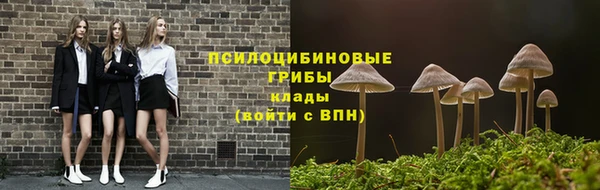 соль курить ск Арсеньев
