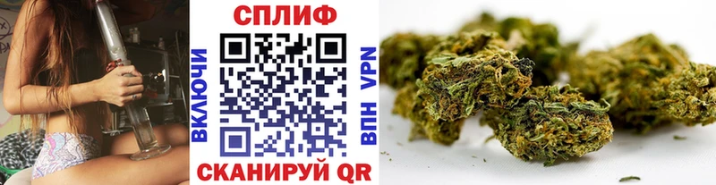 где продают   Юрьев-Польский  Бошки Шишки AK-47 